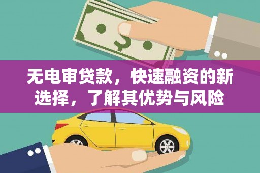 芦竹无电审贷款，快速融资的新选择，了解其优势与风险