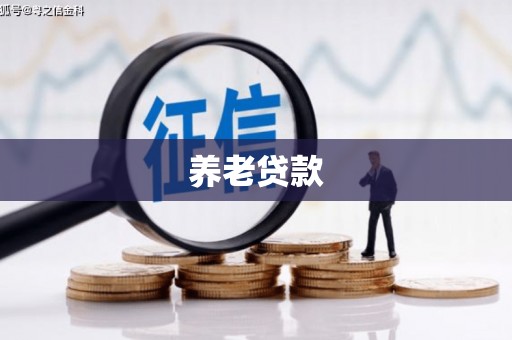 芦竹养老贷款