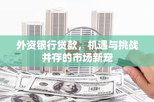 芦竹外资银行贷款，机遇与挑战并存的市场新宠