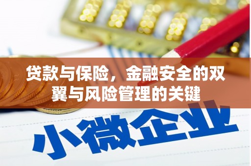 芦竹贷款与保险，金融安全的双翼与风险管理的关键
