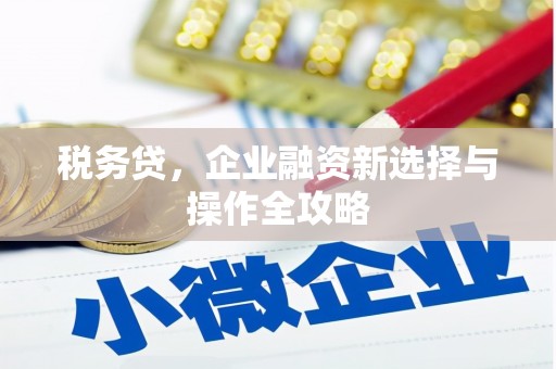 芦竹税务贷，企业融资新选择与操作全攻略