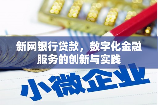芦竹新网银行贷款，数字化金融服务的创新与实践