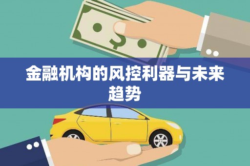 芦竹金融机构的风控利器与未来趋势