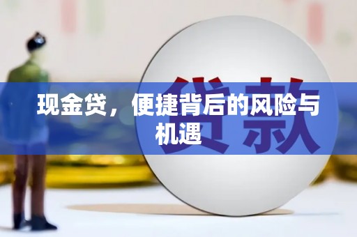 芦竹现金贷，便捷背后的风险与机遇