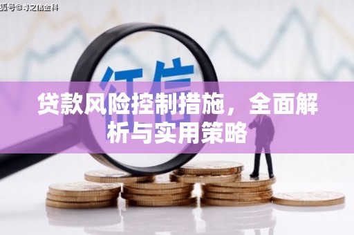 芦竹贷款风险控制措施，全面解析与实用策略