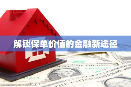 芦竹解锁保单价值的金融新途径
