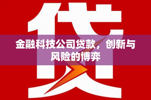 芦竹金融科技公司贷款，创新与风险的博弈