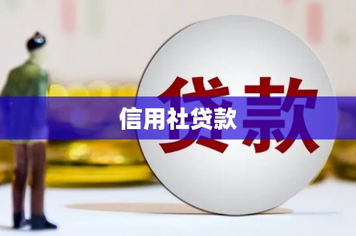 芦竹信用社贷款