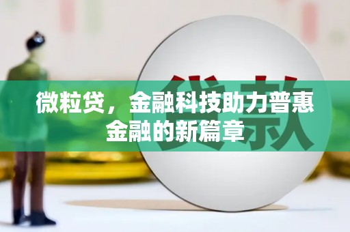 芦竹微粒贷，金融科技助力普惠金融的新篇章