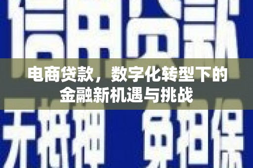 芦竹电商贷款，数字化转型下的金融新机遇与挑战
