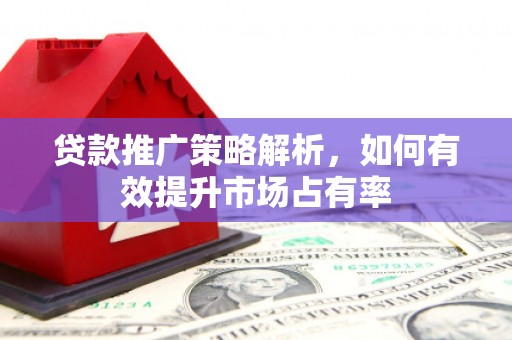 芦竹贷款推广策略解析，如何有效提升市场占有率
