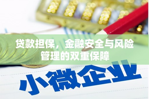 芦竹贷款担保，金融安全与风险管理的双重保障