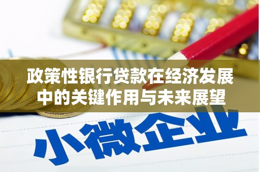 芦竹政策性银行贷款在经济发展中的关键作用与未来展望