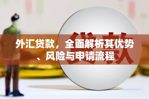 芦竹外汇贷款，全面解析其优势、风险与申请流程