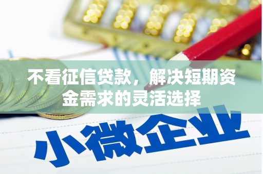芦竹不看征信贷款，解决短期资金需求的灵活选择