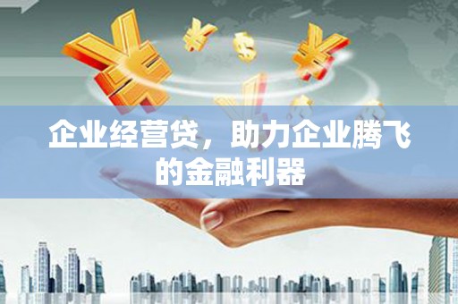 芦竹企业经营贷，助力企业腾飞的金融利器
