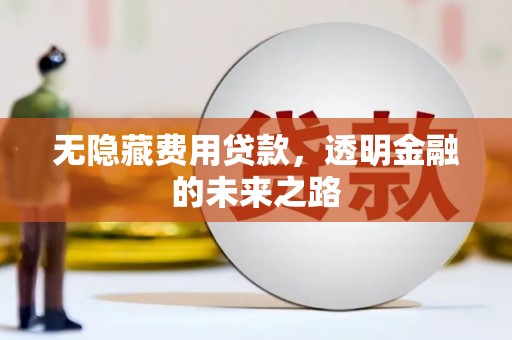 芦竹无隐藏费用贷款，透明金融的未来之路