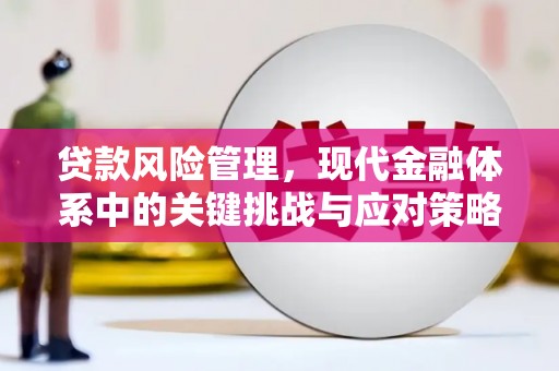 芦竹贷款风险管理，现代金融体系中的关键挑战与应对策略
