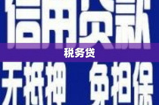 芦竹税务贷