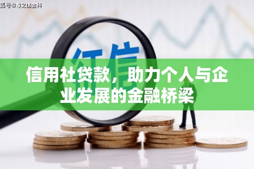 芦竹信用社贷款，助力个人与企业发展的金融桥梁