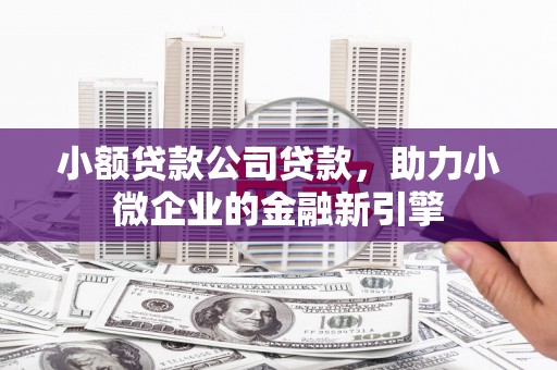 芦竹小额贷款公司贷款，助力小微企业的金融新引擎