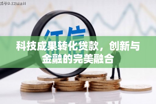 芦竹科技成果转化贷款，创新与金融的完美融合