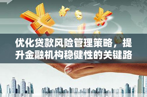 芦竹优化贷款风险管理策略，提升金融机构稳健性的关键路径