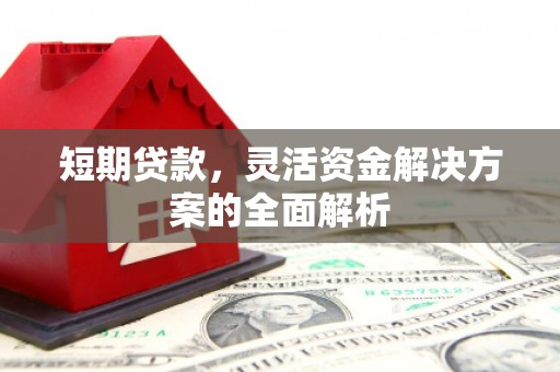 芦竹短期贷款，灵活资金解决方案的全面解析