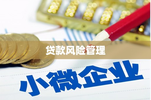 芦竹贷款风险管理