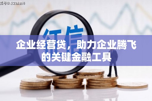 芦竹企业经营贷，助力企业腾飞的关键金融工具
