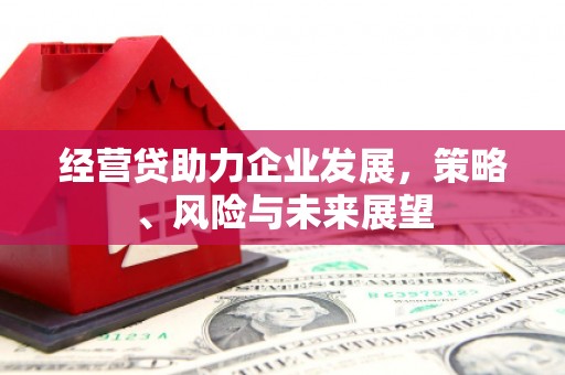 芦竹经营贷助力企业发展，策略、风险与未来展望