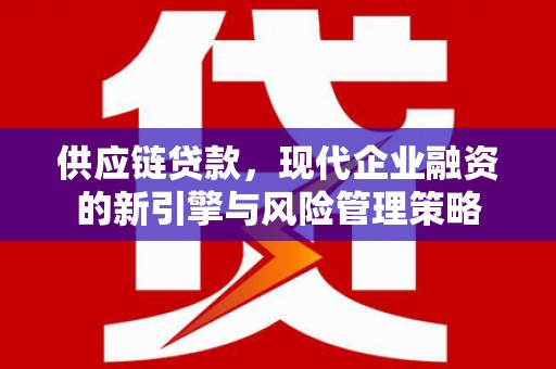 芦竹供应链贷款，现代企业融资的新引擎与风险管理策略