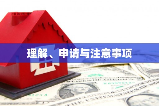 芦竹理解、申请与注意事项
