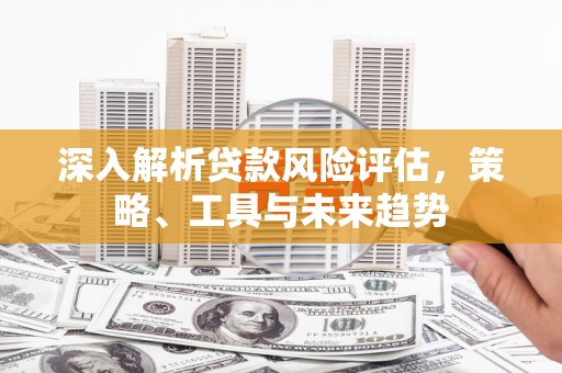 芦竹深入解析贷款风险评估，策略、工具与未来趋势