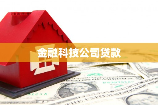 芦竹金融科技公司贷款