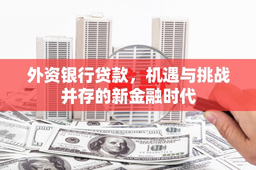 芦竹外资银行贷款，机遇与挑战并存的新金融时代