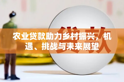 芦竹农业贷款助力乡村振兴，机遇、挑战与未来展望