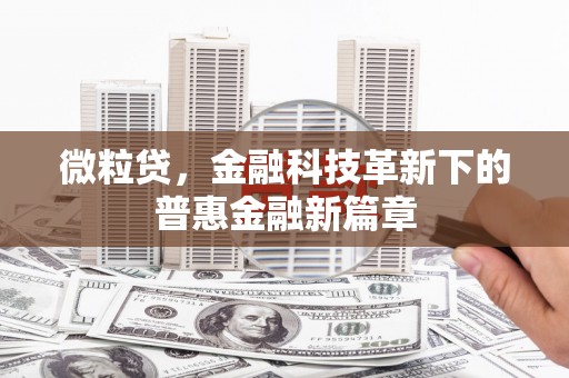 芦竹微粒贷，金融科技革新下的普惠金融新篇章