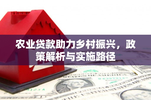 芦竹农业贷款助力乡村振兴，政策解析与实施路径