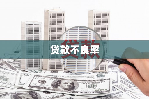 芦竹贷款不良率