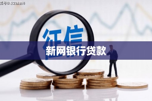 芦竹新网银行贷款