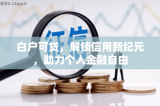芦竹白户可贷，解锁信用新纪元，助力个人金融自由