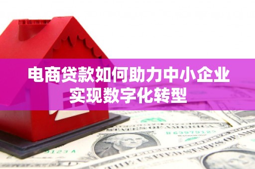 芦竹电商贷款如何助力中小企业实现数字化转型