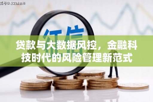 芦竹贷款与大数据风控，金融科技时代的风险管理新范式