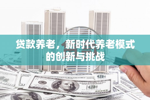 芦竹贷款养老，新时代养老模式的创新与挑战
