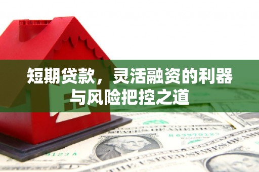 芦竹短期贷款，灵活融资的利器与风险把控之道
