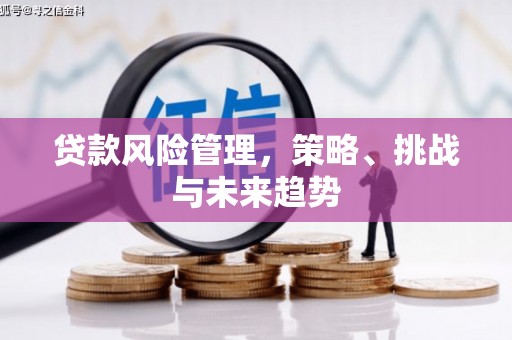 芦竹贷款风险管理，策略、挑战与未来趋势