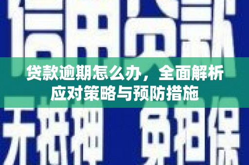 芦竹贷款逾期怎么办，全面解析应对策略与预防措施