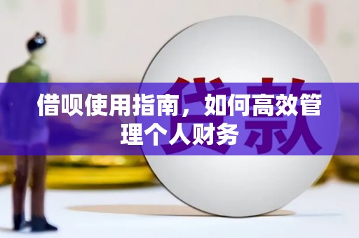 芦竹借呗使用指南，如何高效管理个人财务