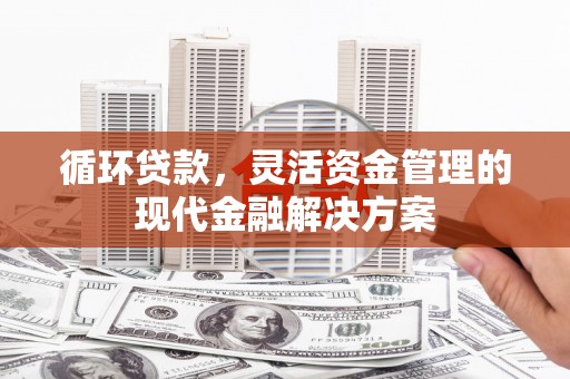 芦竹循环贷款，灵活资金管理的现代金融解决方案
